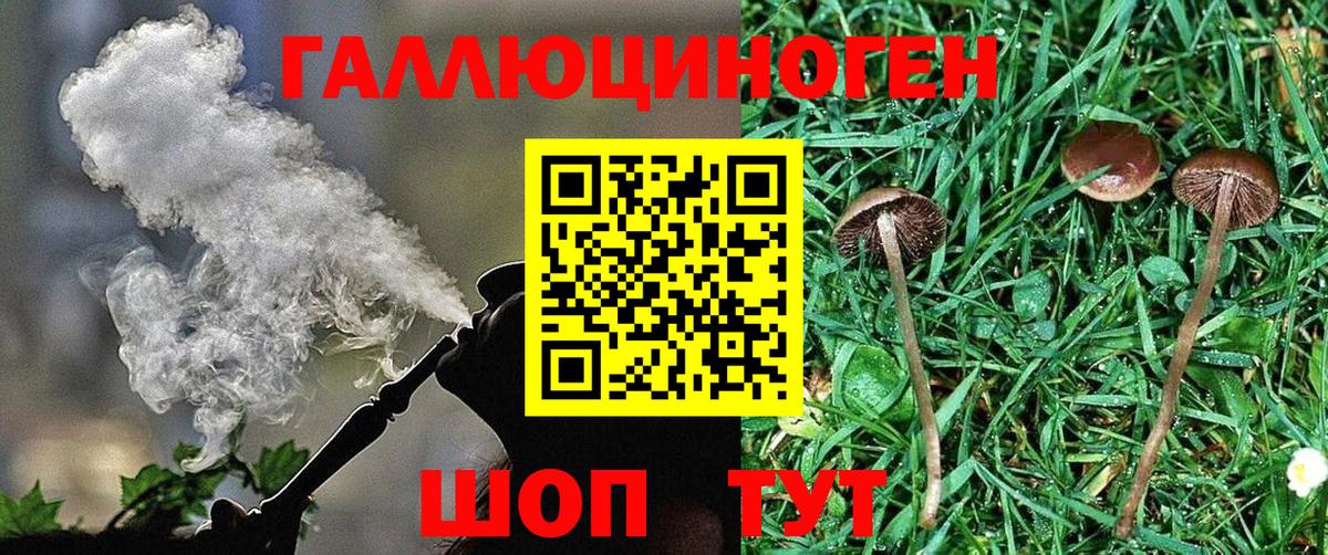Галлюциногенные грибы мицелий Назрань